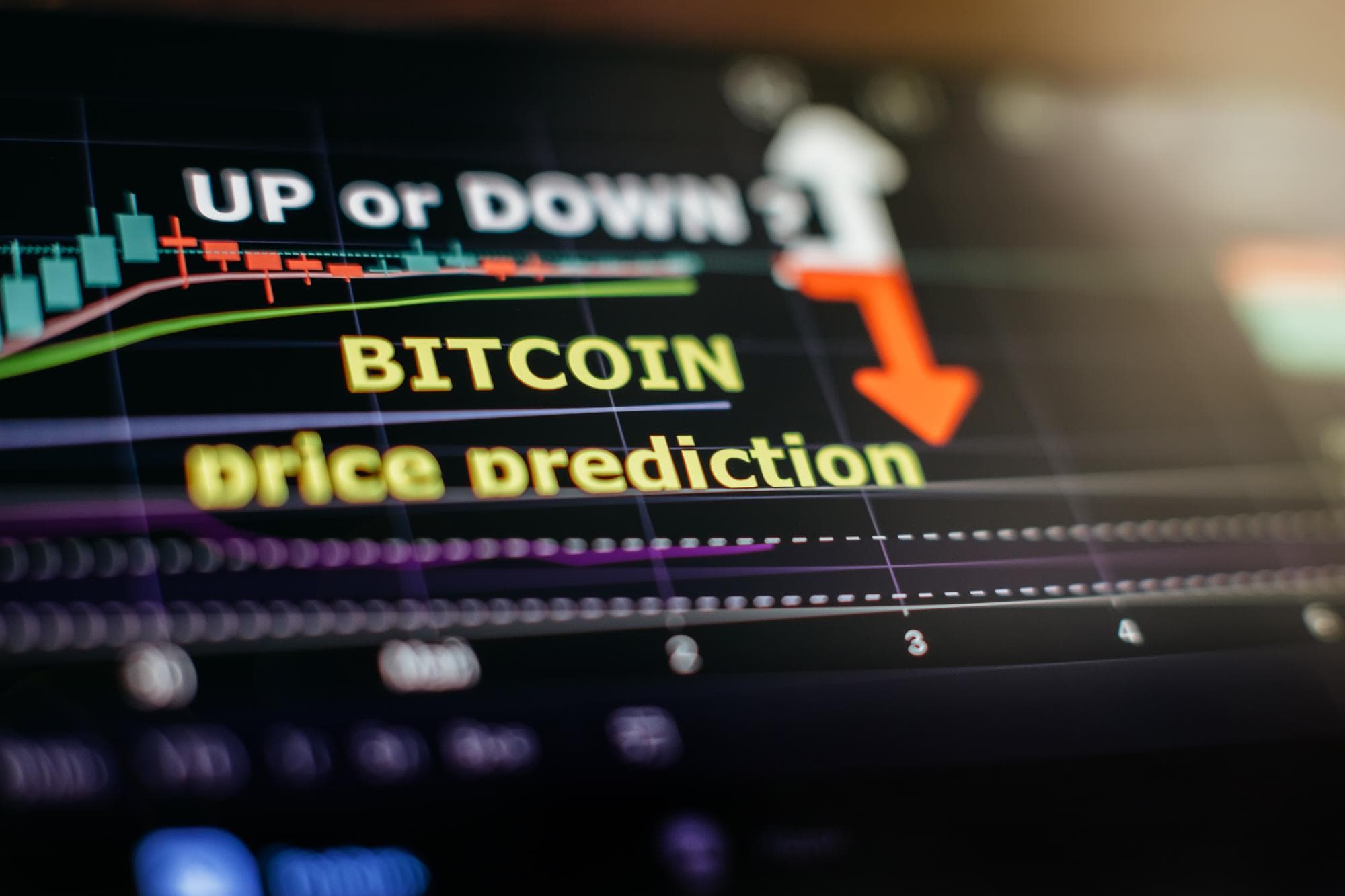 Crypto’s Market Reset Is Separating Price From Plumbing