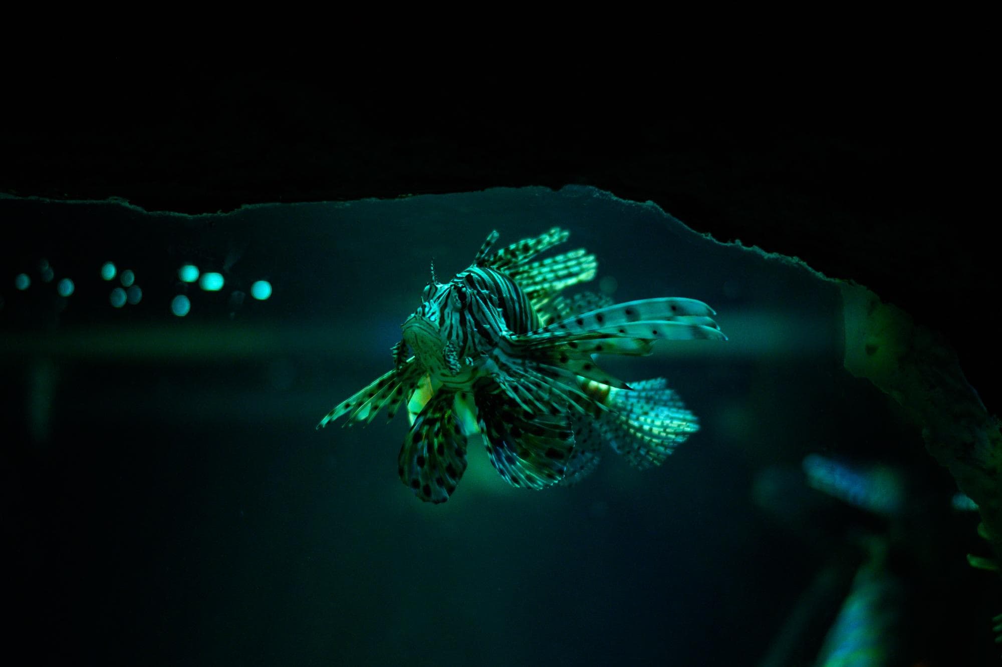 The Kelp DAO Exploit Isn't Just a DeFi Story — It's a Custody Warning