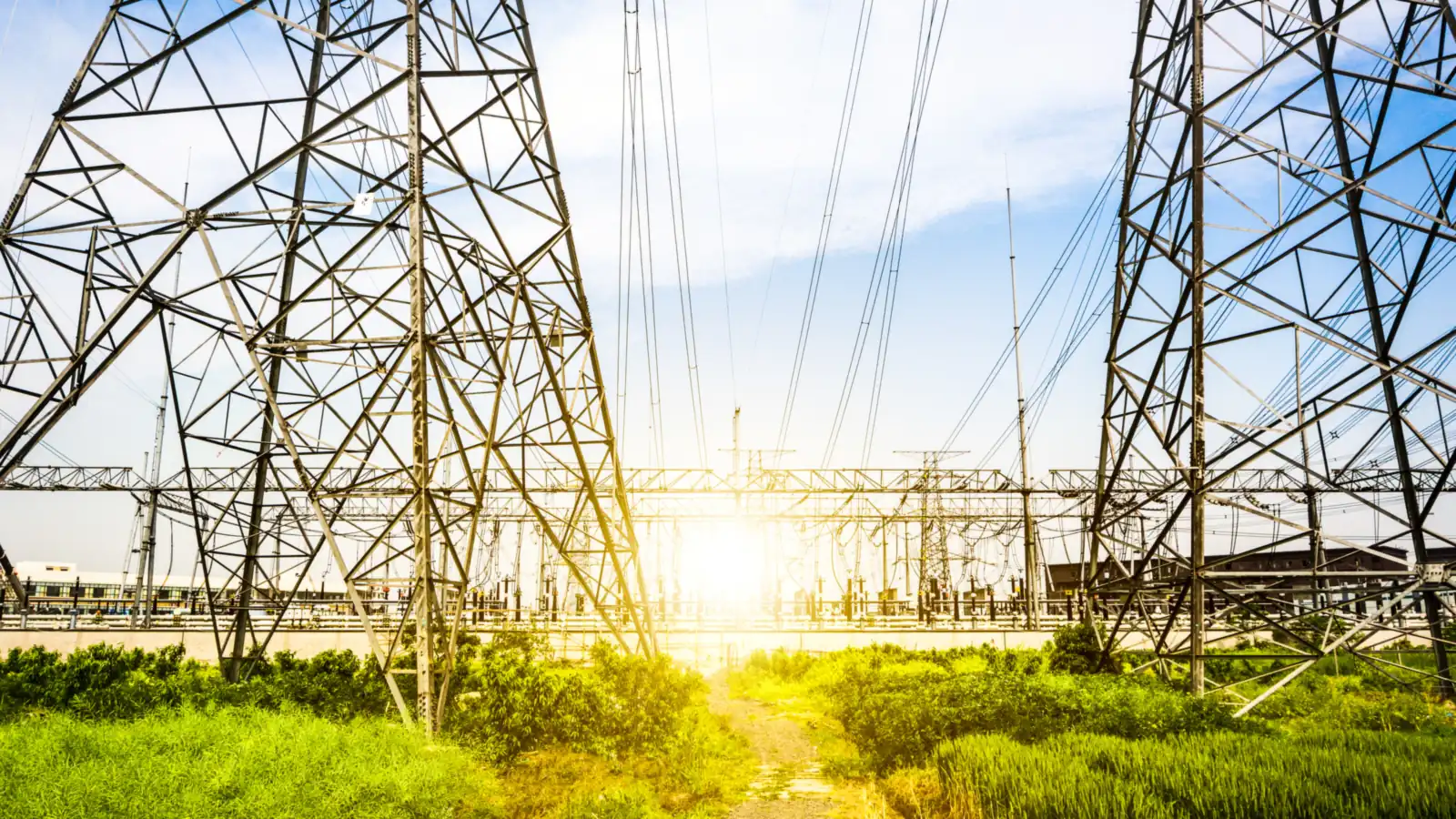 High-voltage transmission towers against a low sun over green fields.