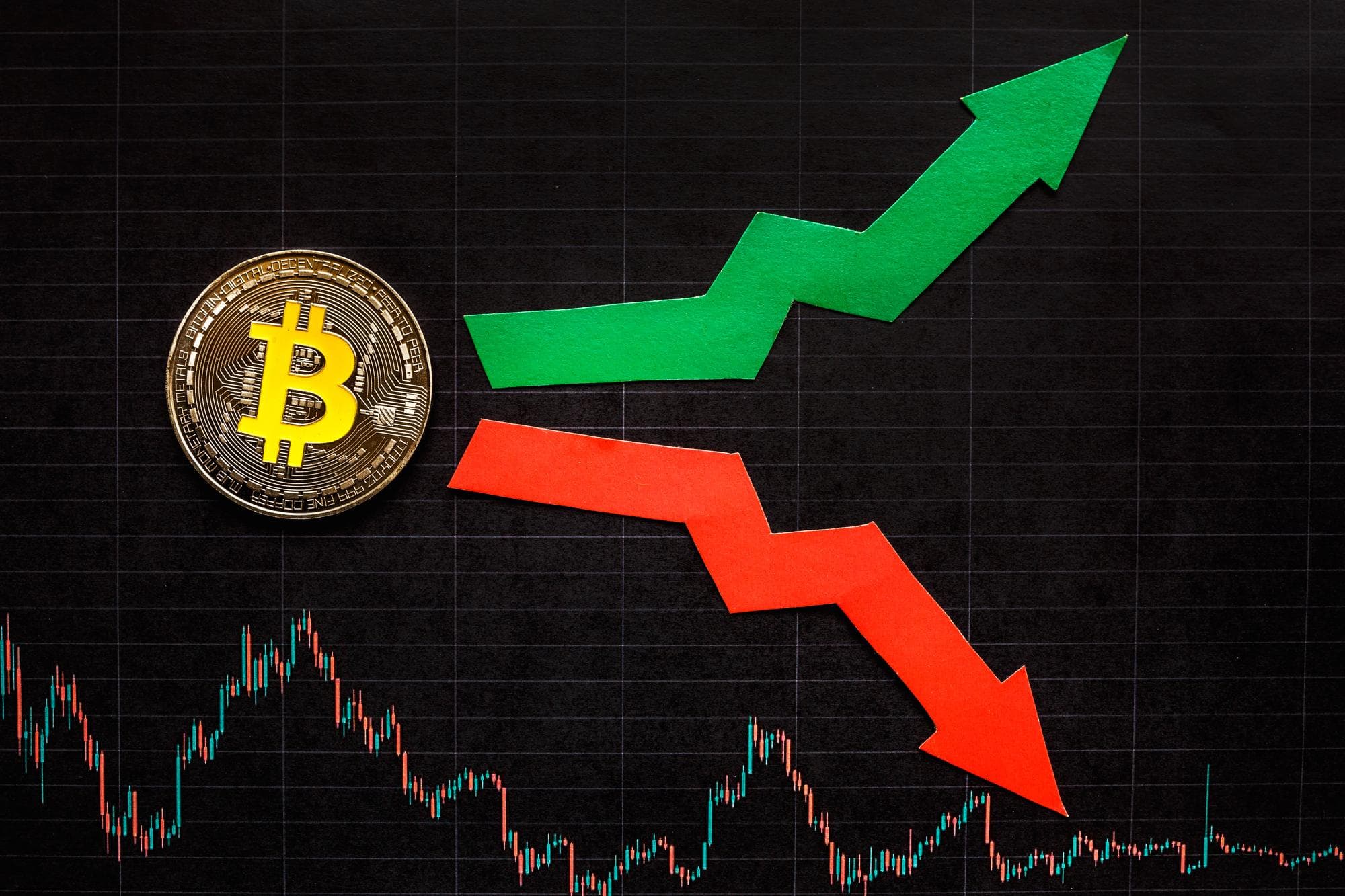 Crypto’s Rally Is Turning Into a Sorting Event