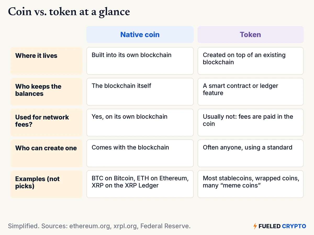 A side-by-side comparison. Native coin: built into its own blockchain; balances kept by the blockchain itself; yes, used for network fees on its own blockchain; comes with the blockchain; examples BTC on Bitcoin, ETH on Ethereum and XRP on the XRP Ledger. Token: created on top of an existing blockchain; balances kept by a smart contract or ledger feature; usually not used for fees, which are paid in the coin; often anyone can create one using a standard; examples are most stablecoins, wrapped coins and many meme coins.