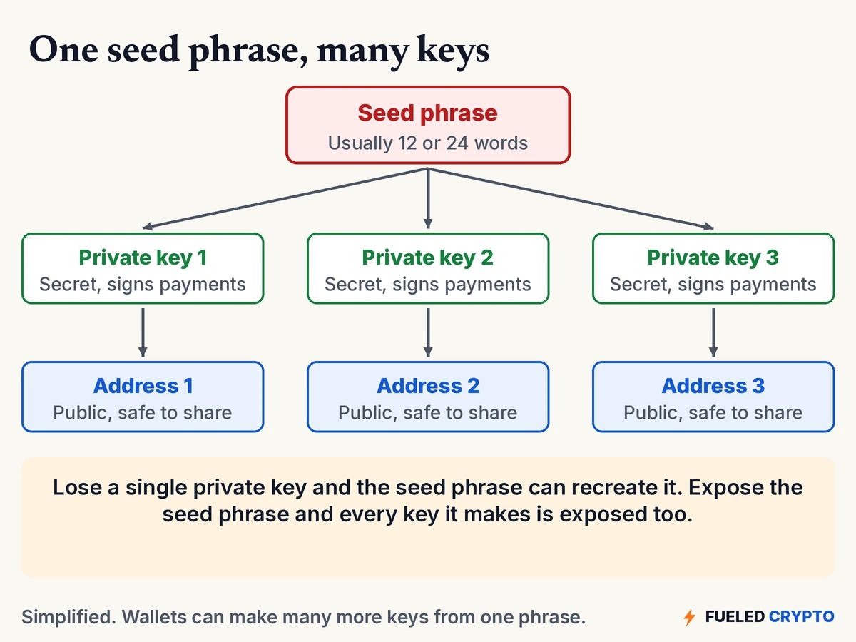 A seed phrase at the top generates private key 1, 2 and 3; each private key has a matching public address that is safe to share.