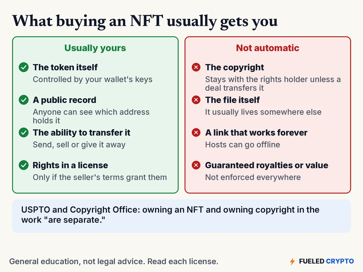 Two-column diagram. Usually yours: the token itself, a public record, the ability to transfer it, rights in a license if the seller's terms grant them. Not automatic: the copyright, the file itself, a link that works forever, guaranteed royalties or value.