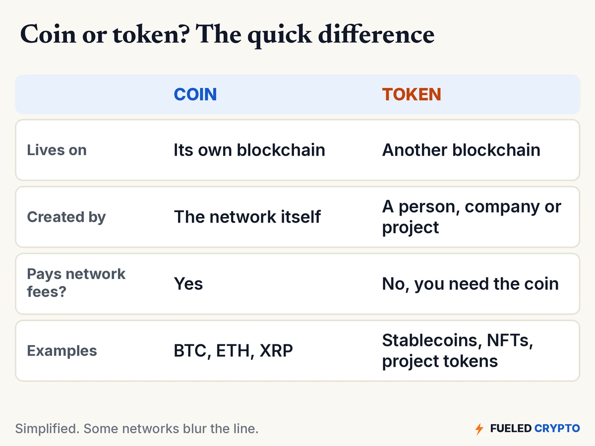 Comparison table. Coin: lives on its own blockchain, created by the network itself, pays network fees, examples BTC, ETH and XRP. Token: lives on another blockchain, created by a person, company or project, cannot pay network fees so you need the coin, examples stablecoins, NFTs and project tokens.